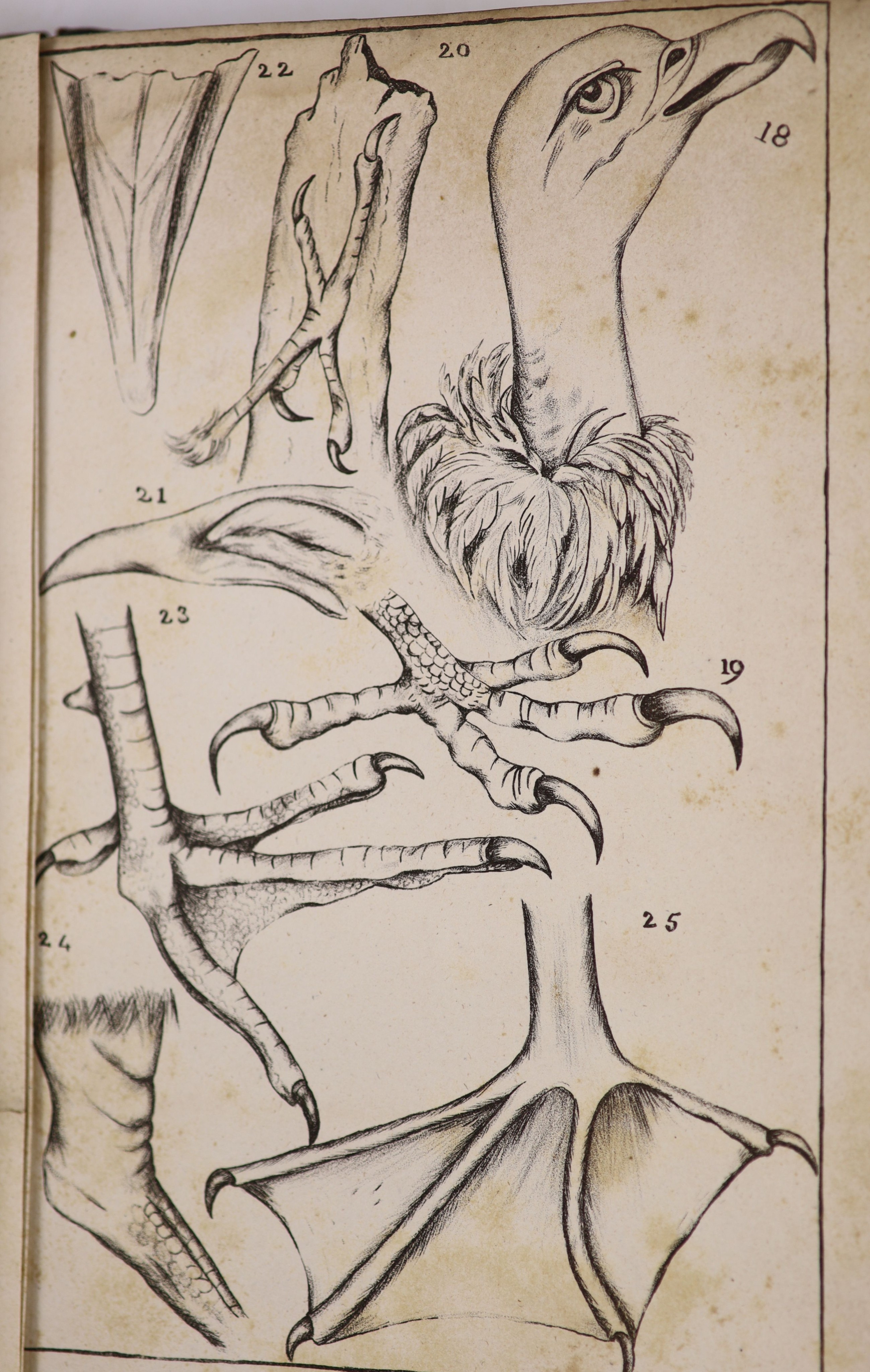 Bowdich, T. Edward – An Introduction to the Ornithology of Cuvier, for the use of students and Travellers. Complete with 16 illustrated plates plus 4 folding. Half morocco and marbled paper, gilt tooled spine with letter